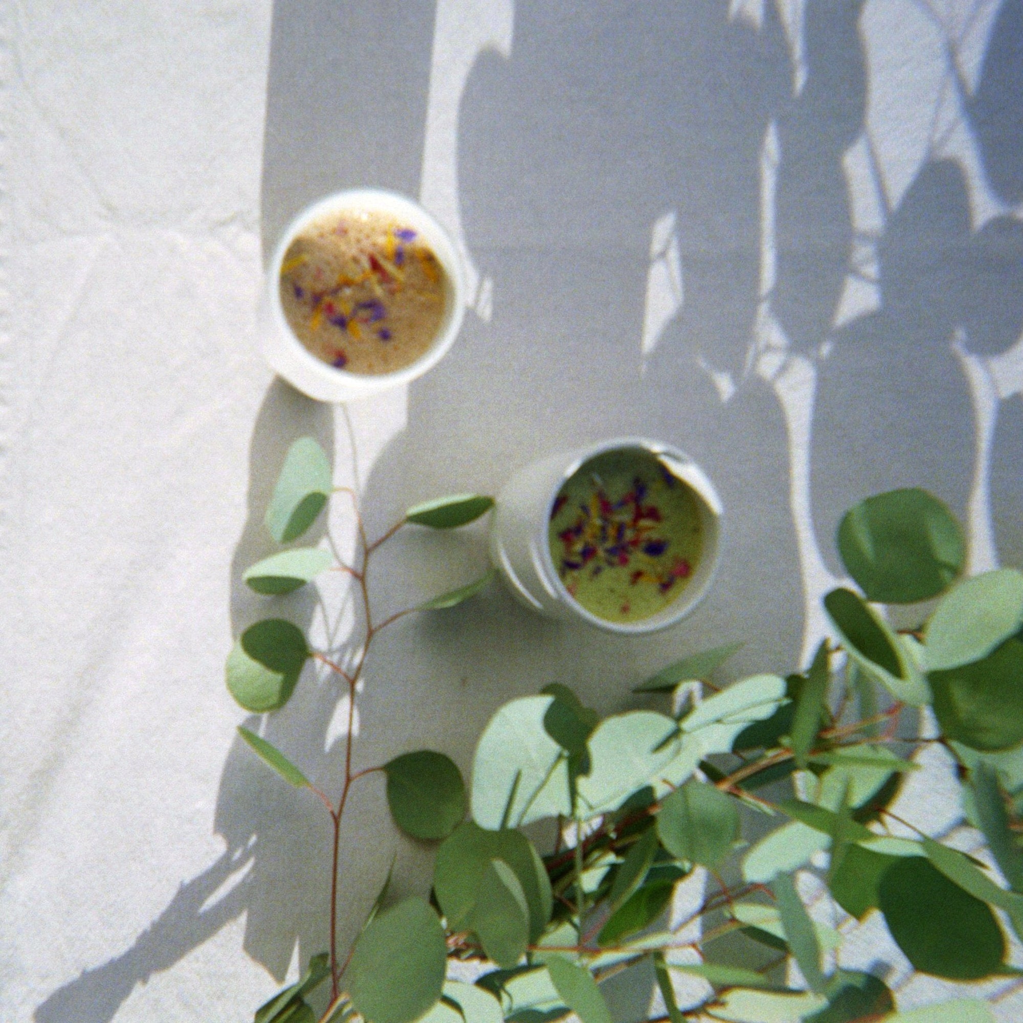 Winter Wellness, with Dr. Kat Bodden