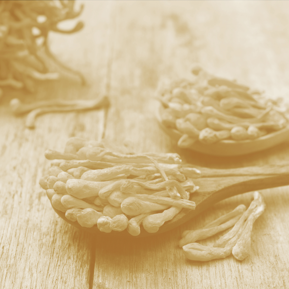 The Scoop on Cordyceps