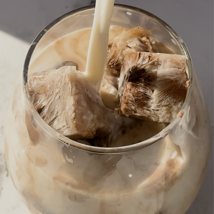 Mocha Ice Cube Latte