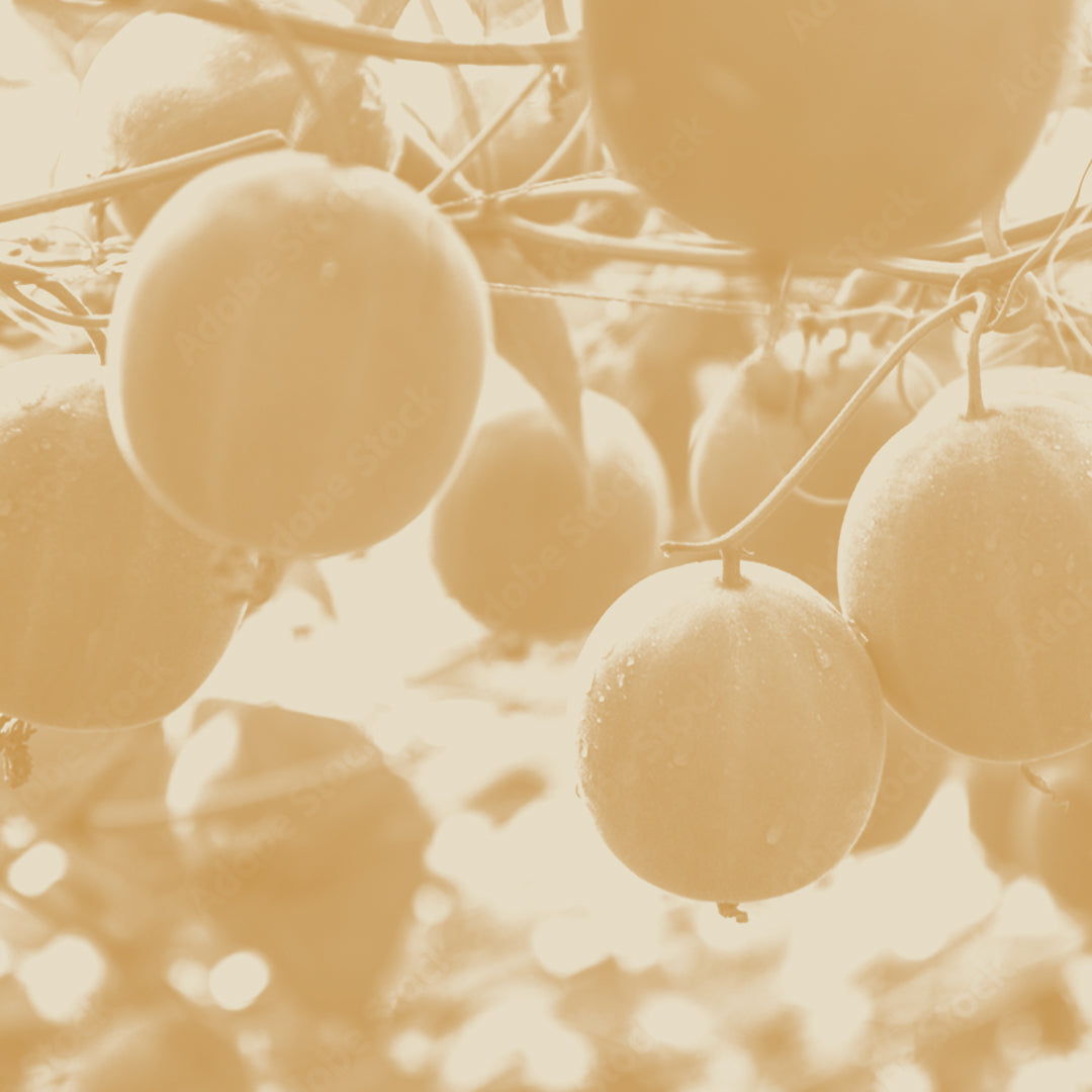 The Scoop on Monk Fruit