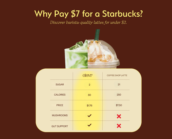 Latte Starter Kit