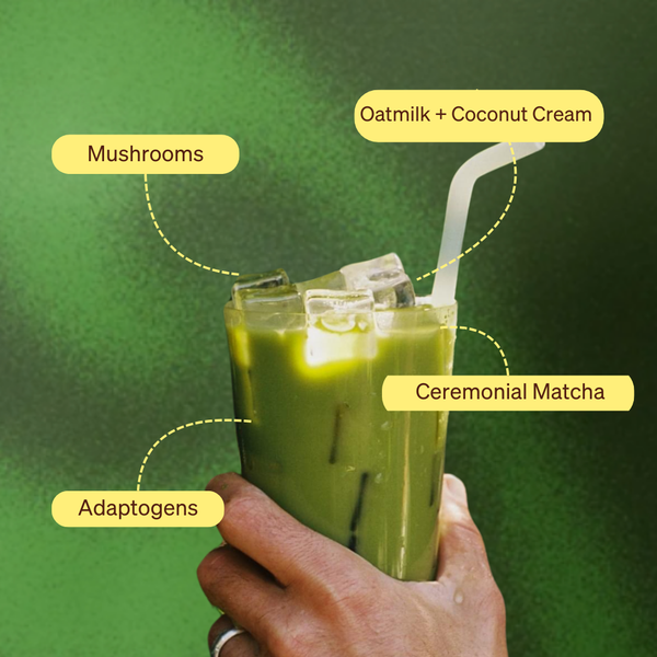Matcha Starter Set